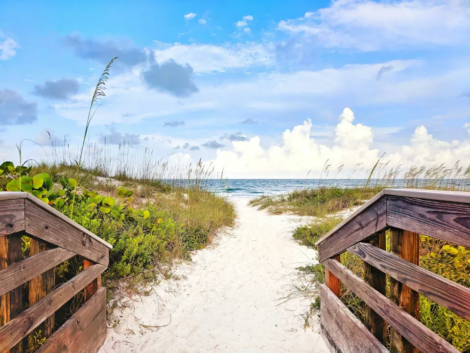 Strand und Palmen in Florida