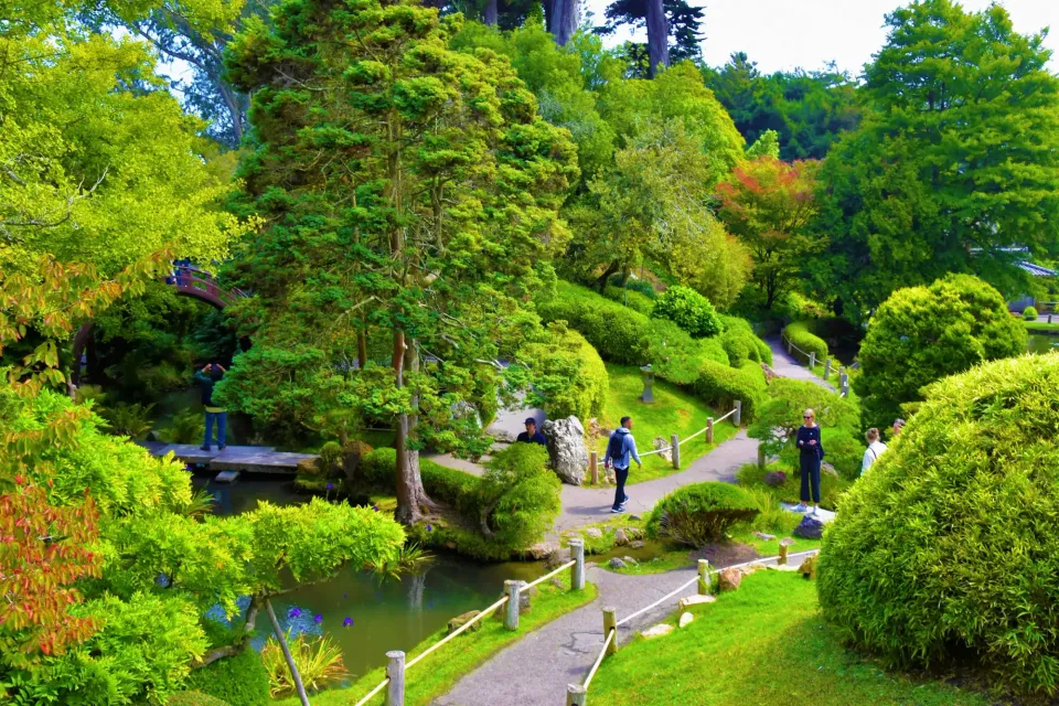 Grüne Parklandschaft im Golden Gate Park in San Francisco