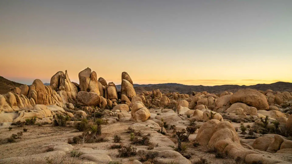 Granitfelsen und Wüstenlandschaft im Joshua Tree National Park
