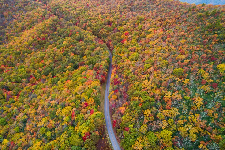 Blue Ridge Parkway in North Carolina