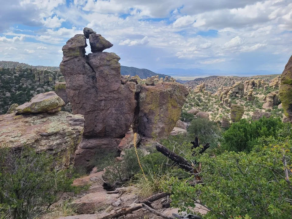 Zahlreiche Felssäulen im Chiricahua National Monument mit Berglandschaft im Hintergrund