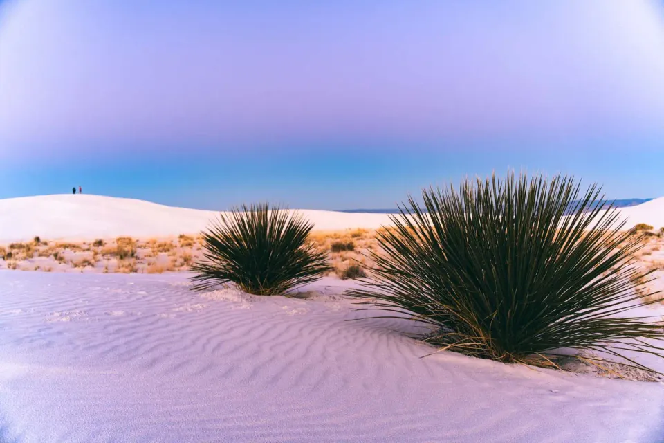 Helle Dünen im White Sands National Park