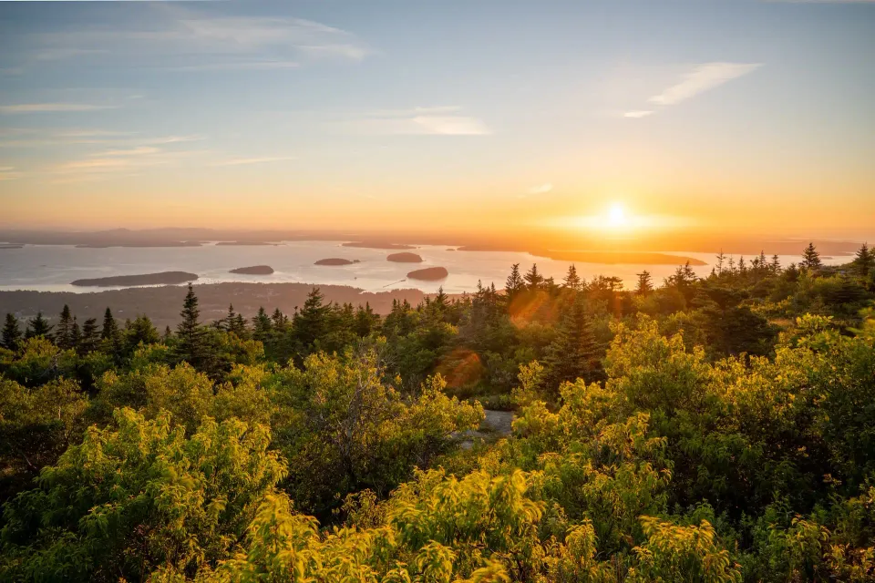 Blick über Küste und Wälder im Acadia National Park