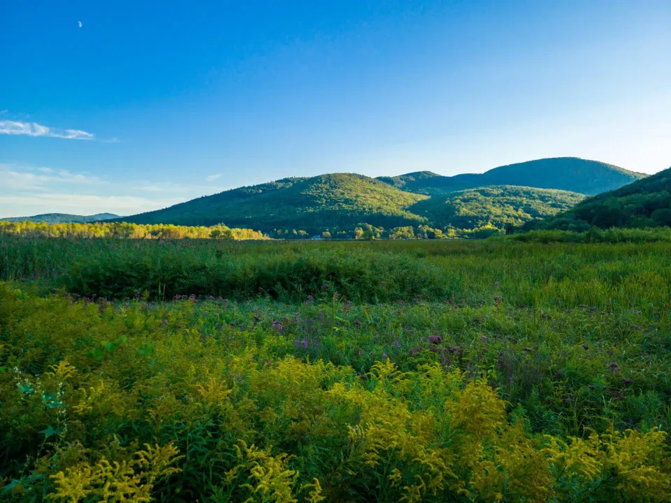 Green Mountain National Forest in Vermont