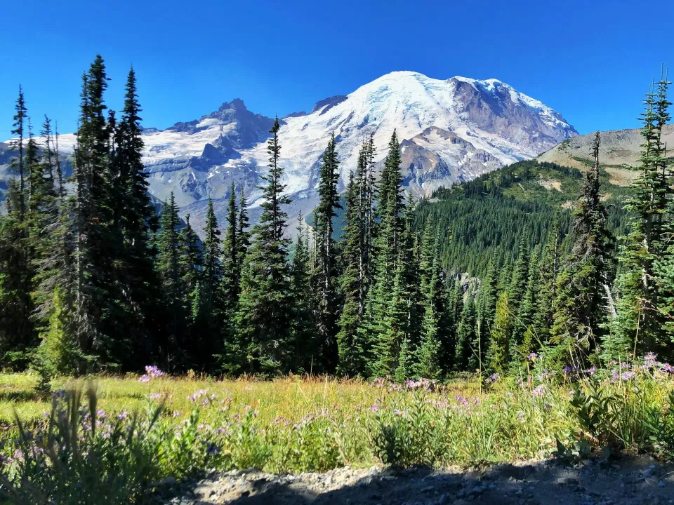 Mount Rainier National Park in Washington