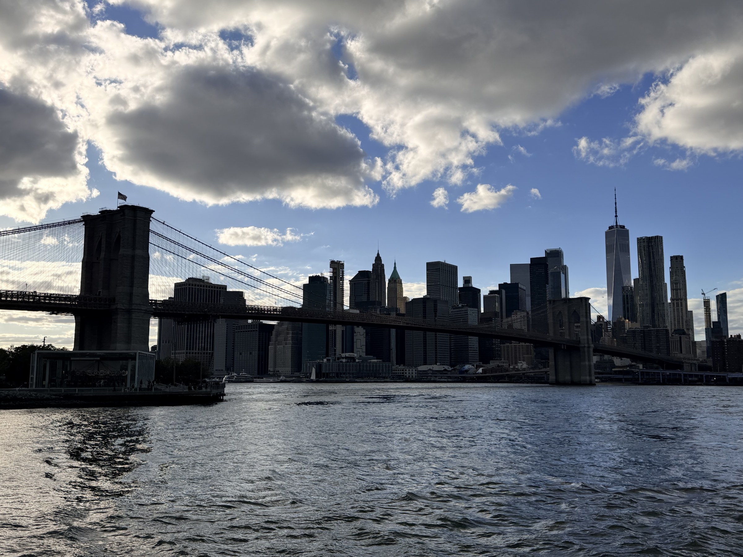 brooklyn waterfront skyline