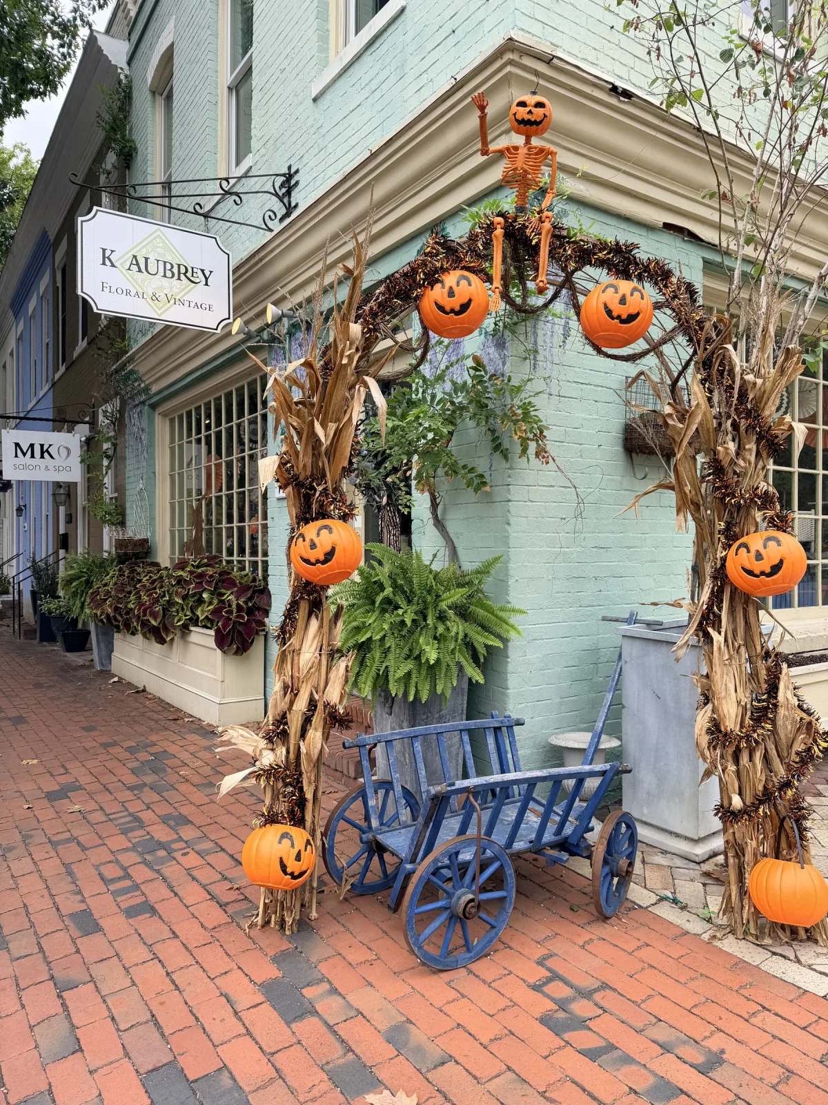 alexandria halloween deko