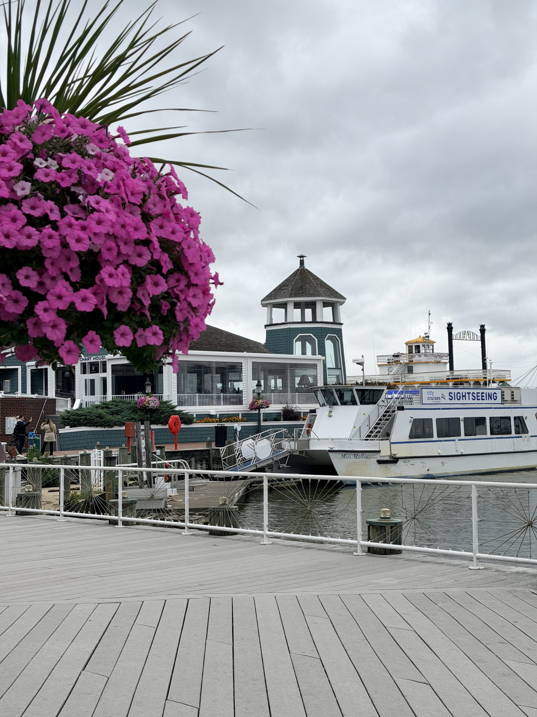 alexandria waterfront alexandria waterfront