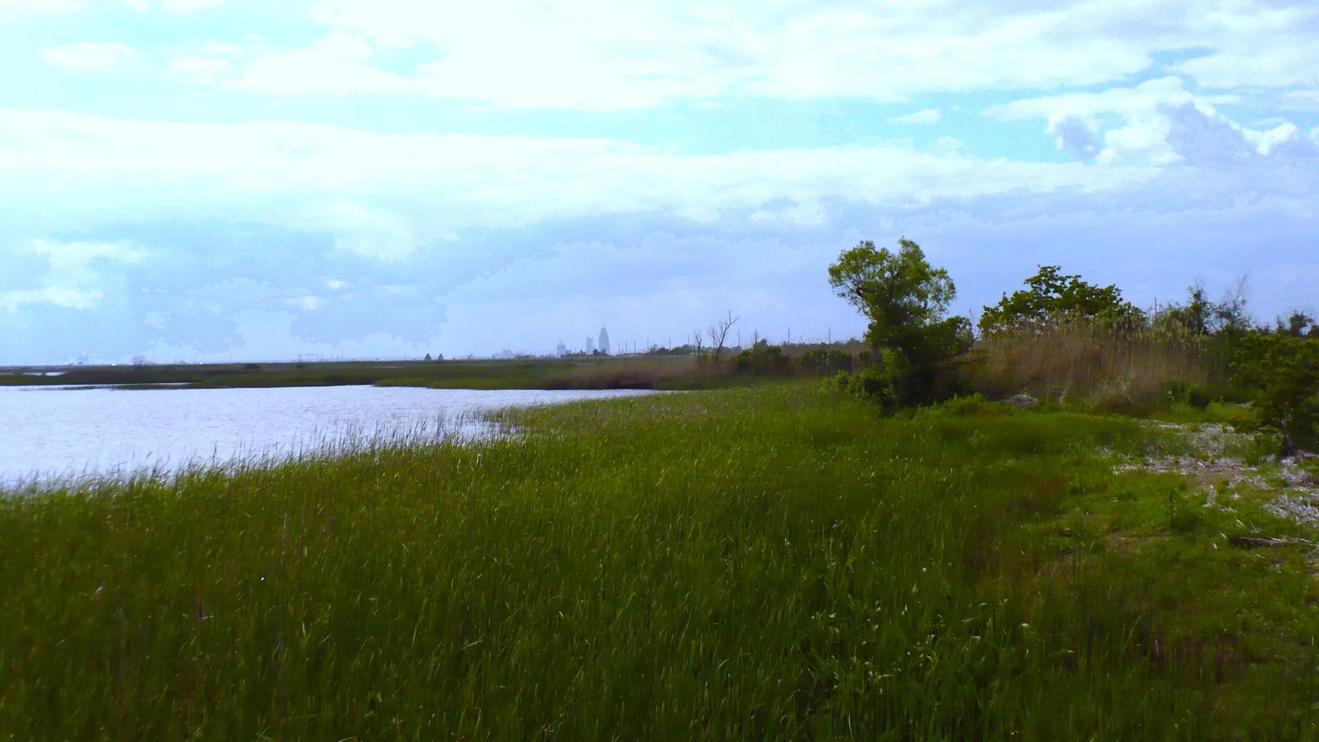 Salzwiesen, Wasserarme und einzelne Bäume im Feuchtgebiet des Meaher State Park an der Mobile Bay