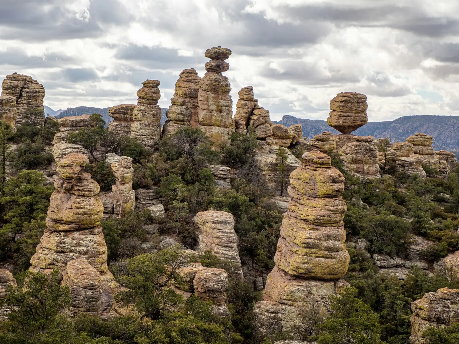 Panorama zahlreicher Felssäulen und bewaldeter Hänge im Chiricahua Nationalpark