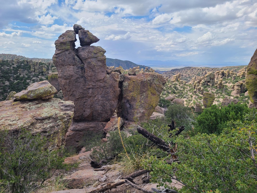 Zahlreiche Felssäulen im Chiricahua National Monument mit Berglandschaft im Hintergrund