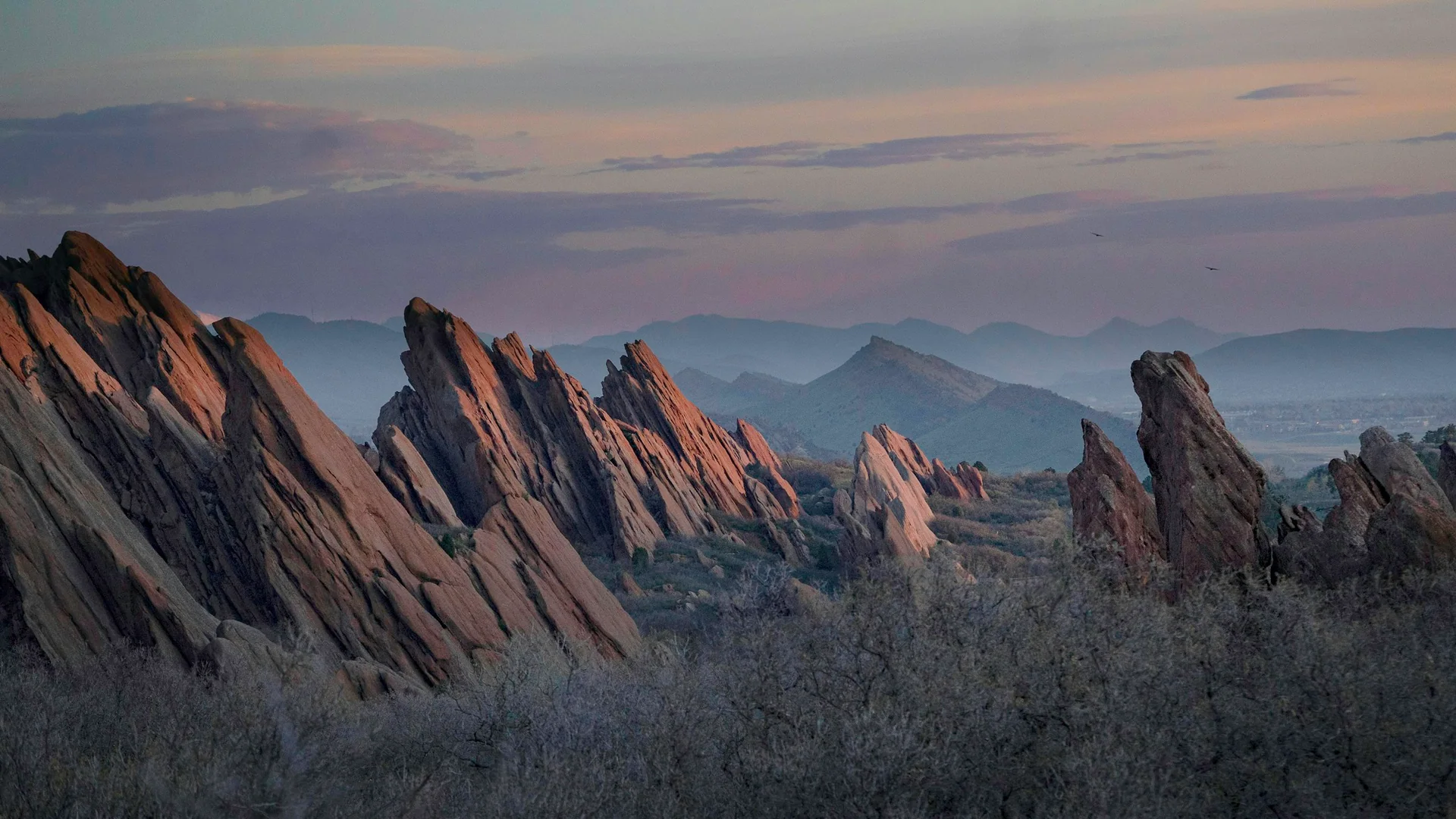Rote Felsrippen des Roxborough State Park im sanften Morgenlicht vor den Rocky Mountains