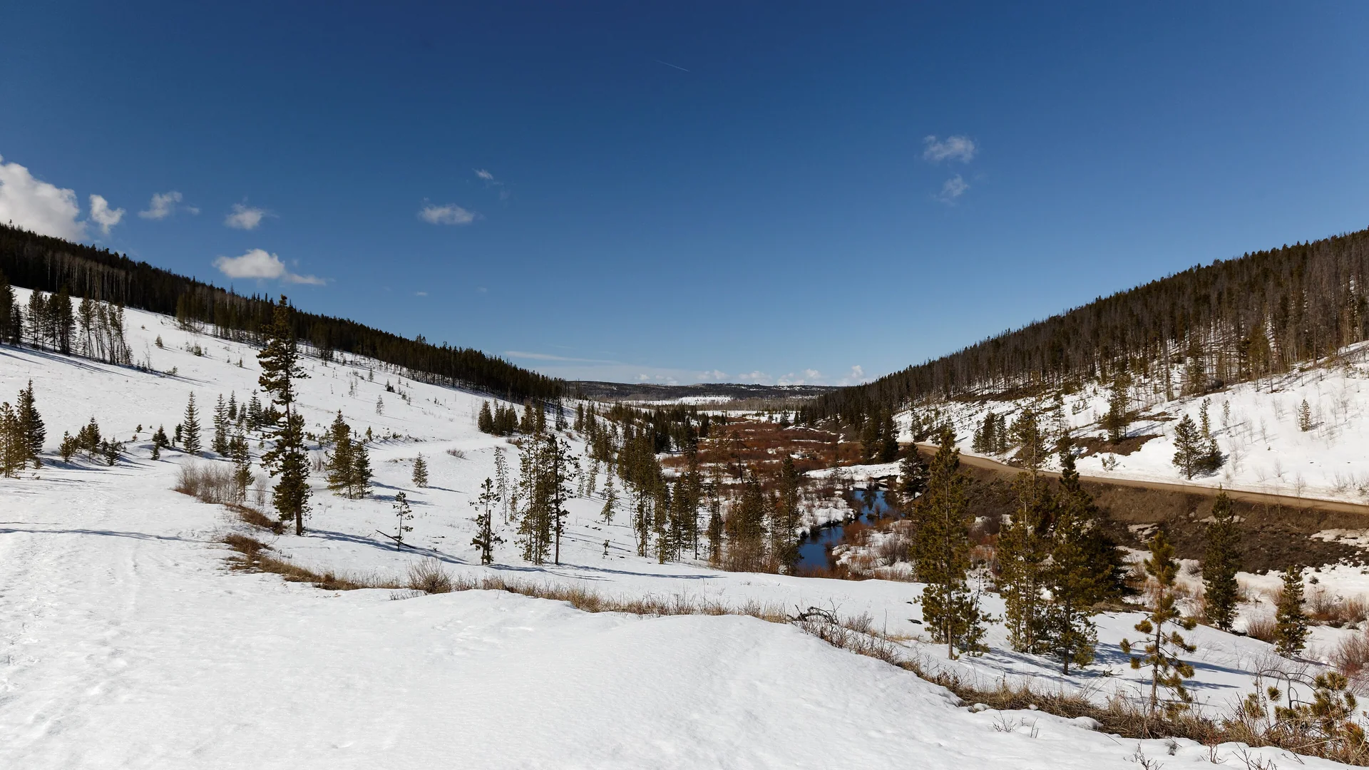 Verschneites Bergtal und Waldhänge im State Forest State Park in Nordcolorado