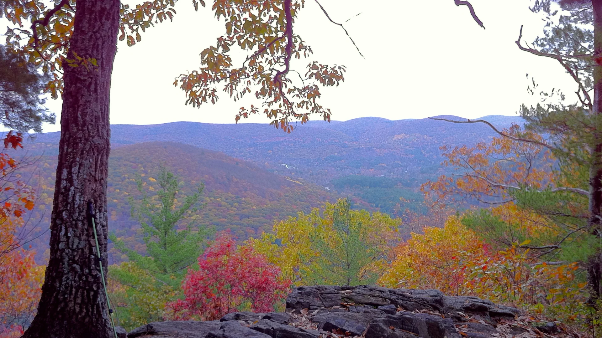 Herbstlicher Blick vom Pine Knob Loop über das Housatonic River Valley im Housatonic Meadows State Park