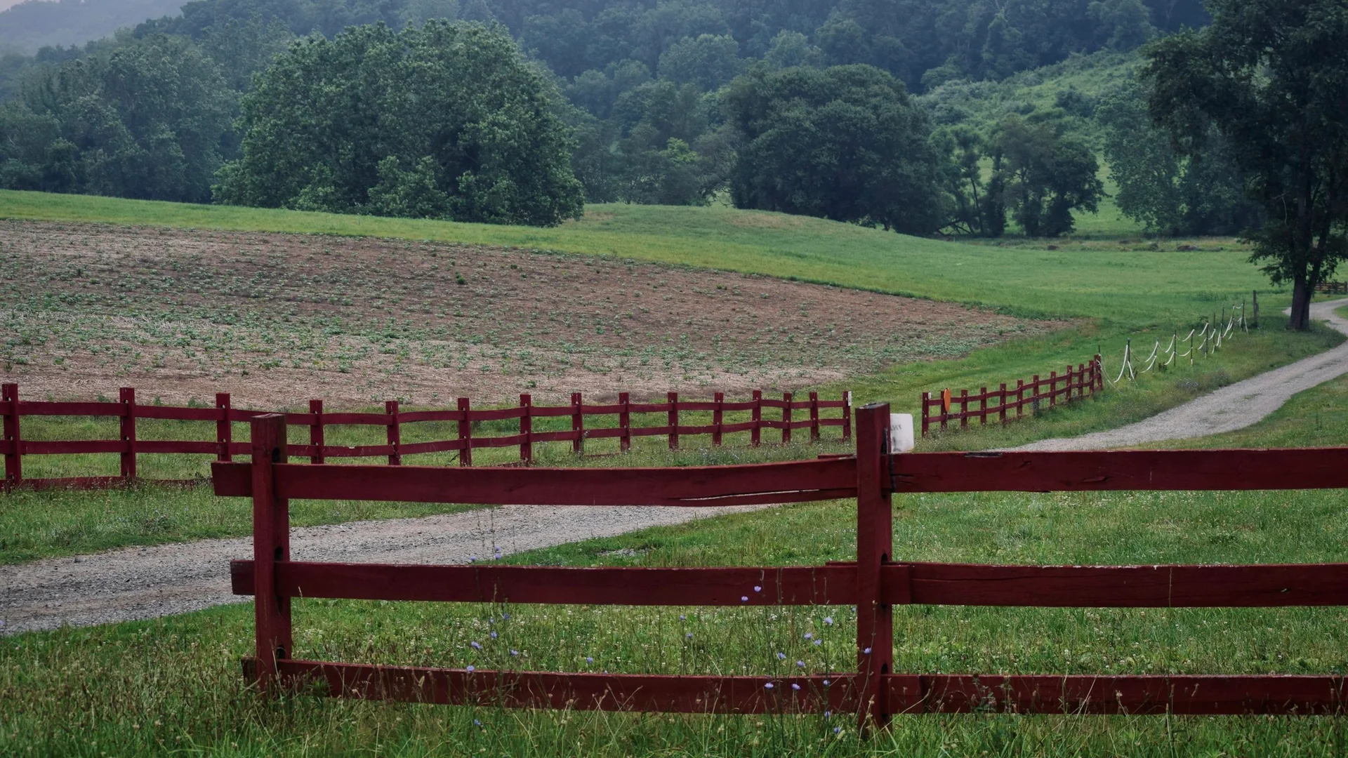 Rote Holzzäune gliedern die bewaldete Hügellandschaft im Brandywine Valley