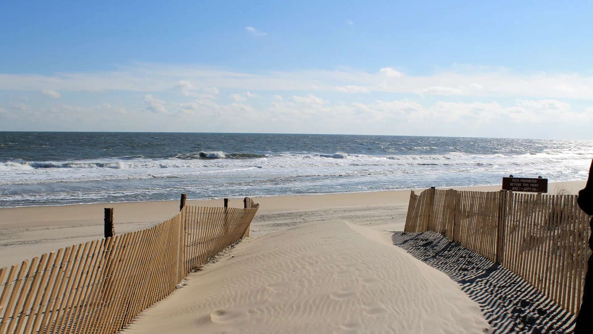Sandweg zwischen niedrigen Dünen führt zum Atlantikstrand im Fenwick Island State Park