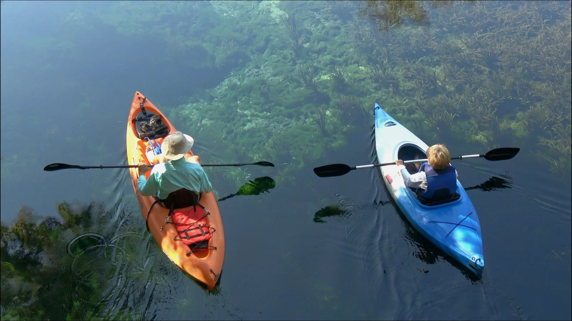 Zwei Kajaks gleiten über das klare Wasser im Silver Springs State Park