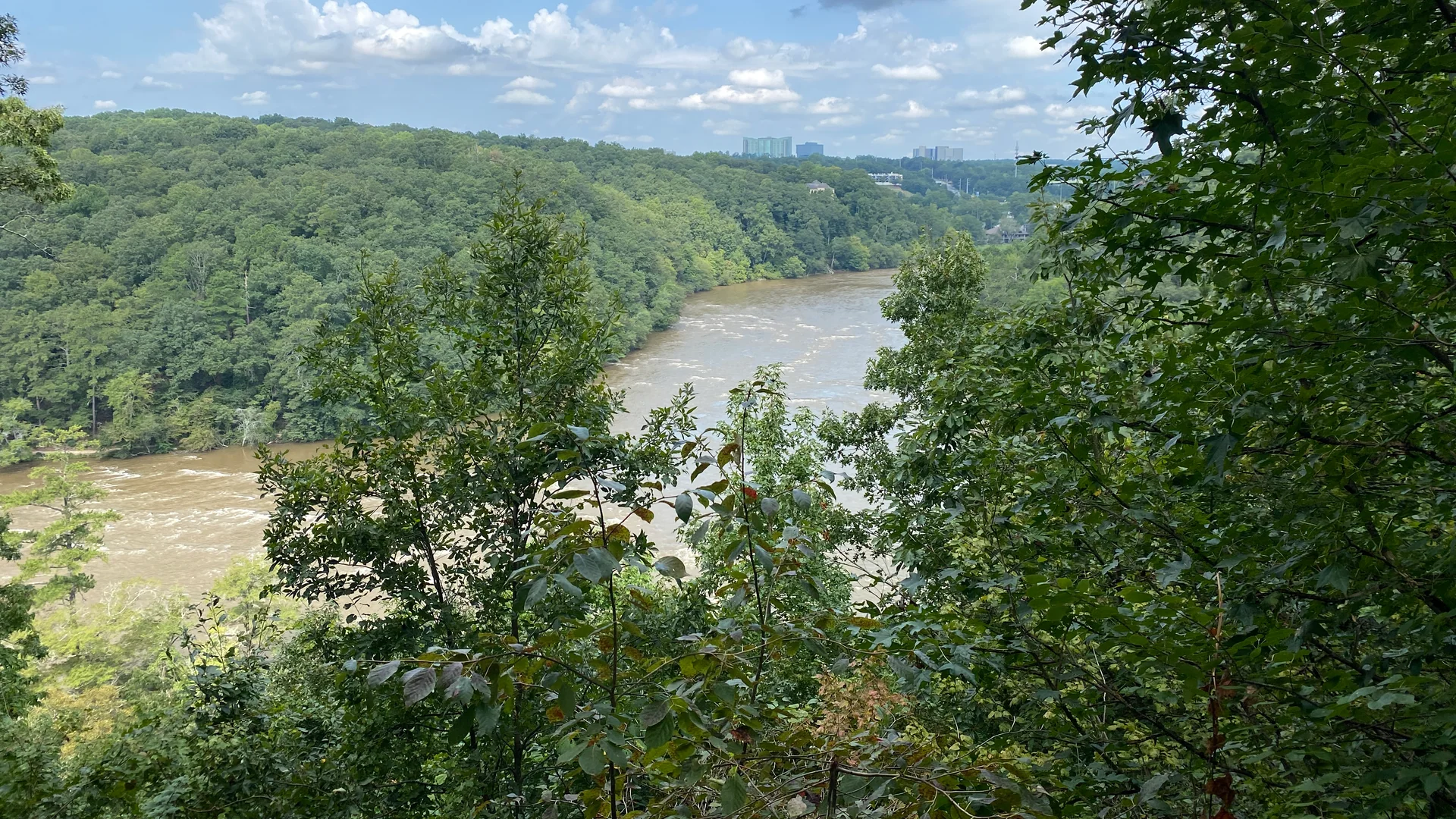 Blick durch bewaldete Hänge auf den Chattahoochee River