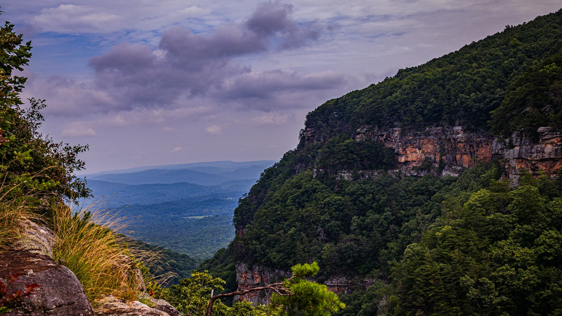 Felswände und bewaldete Hänge öffnen den Blick aus dem Cloudland Canyon