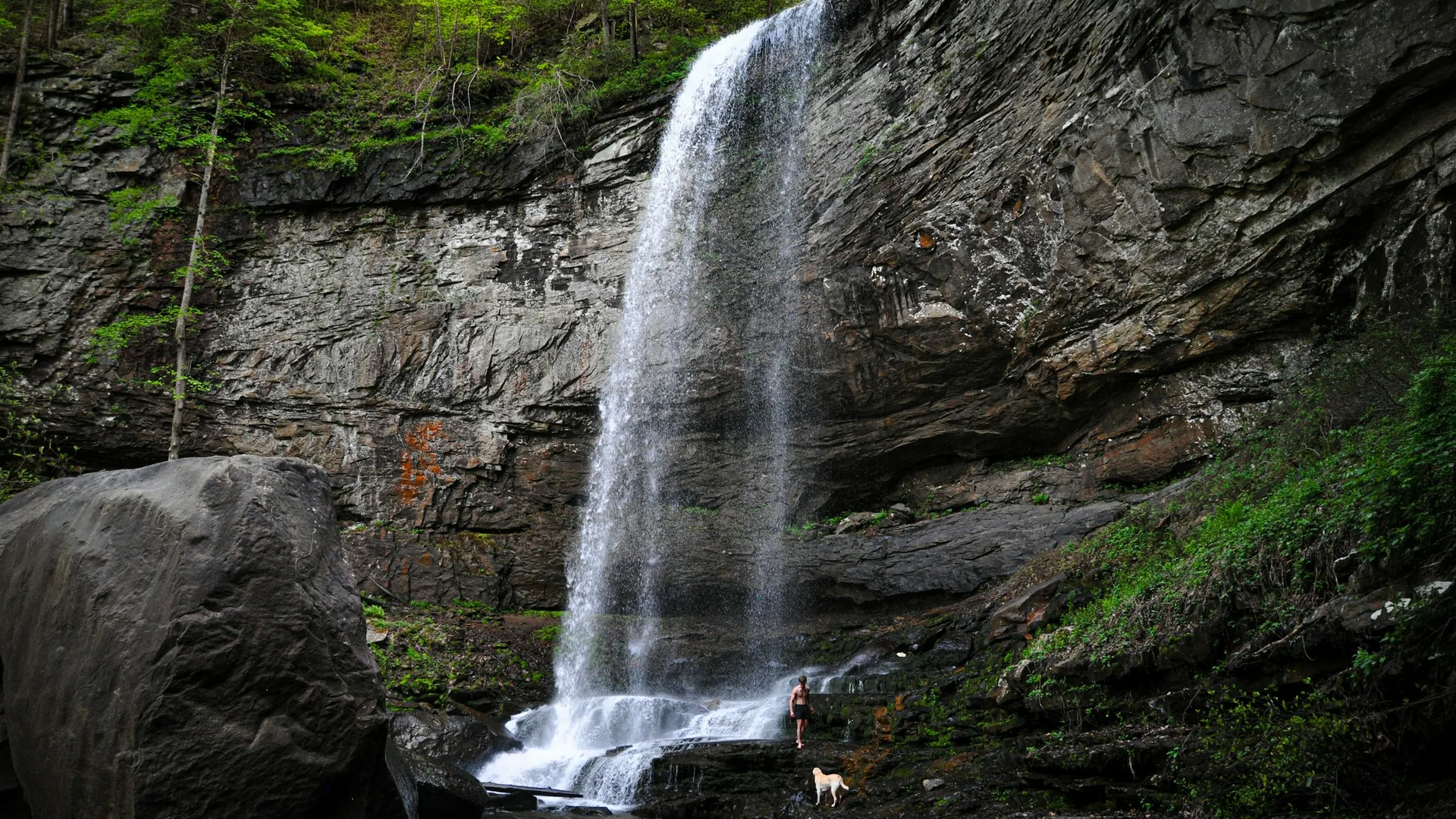 Ein hoher Wasserfall fällt im Cloudland Canyon über eine Felswand