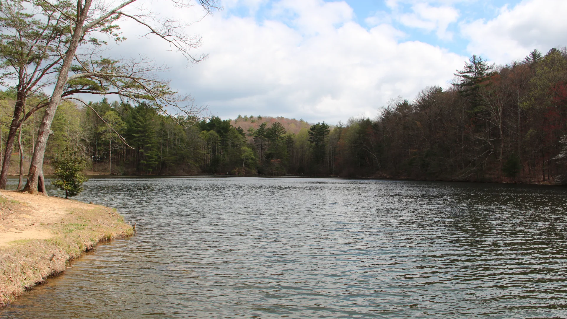 Ruhiger Bergsee zwischen bewaldeten Ufern im Fort Mountain State Park
