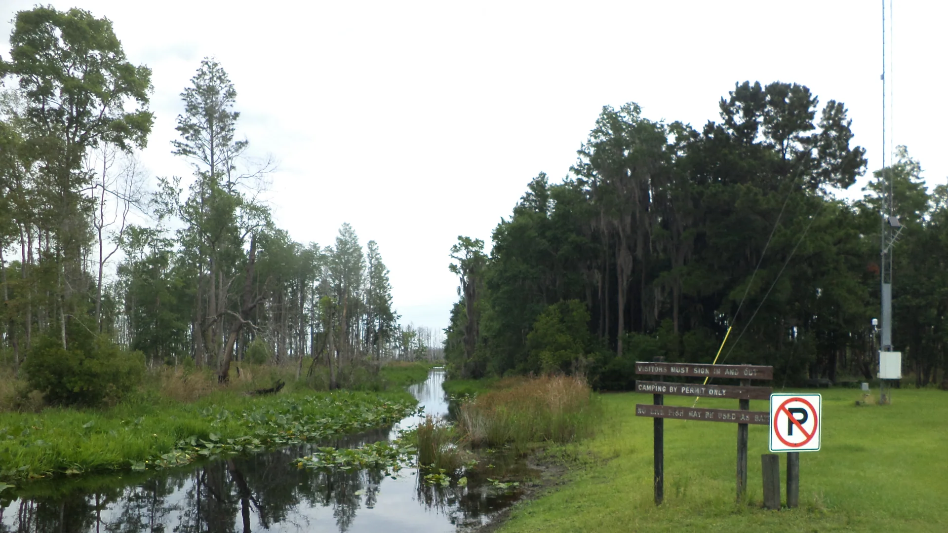 Wasserzugang und Bootsanleger am Rand des Okefenokee im Stephen C. Foster State Park