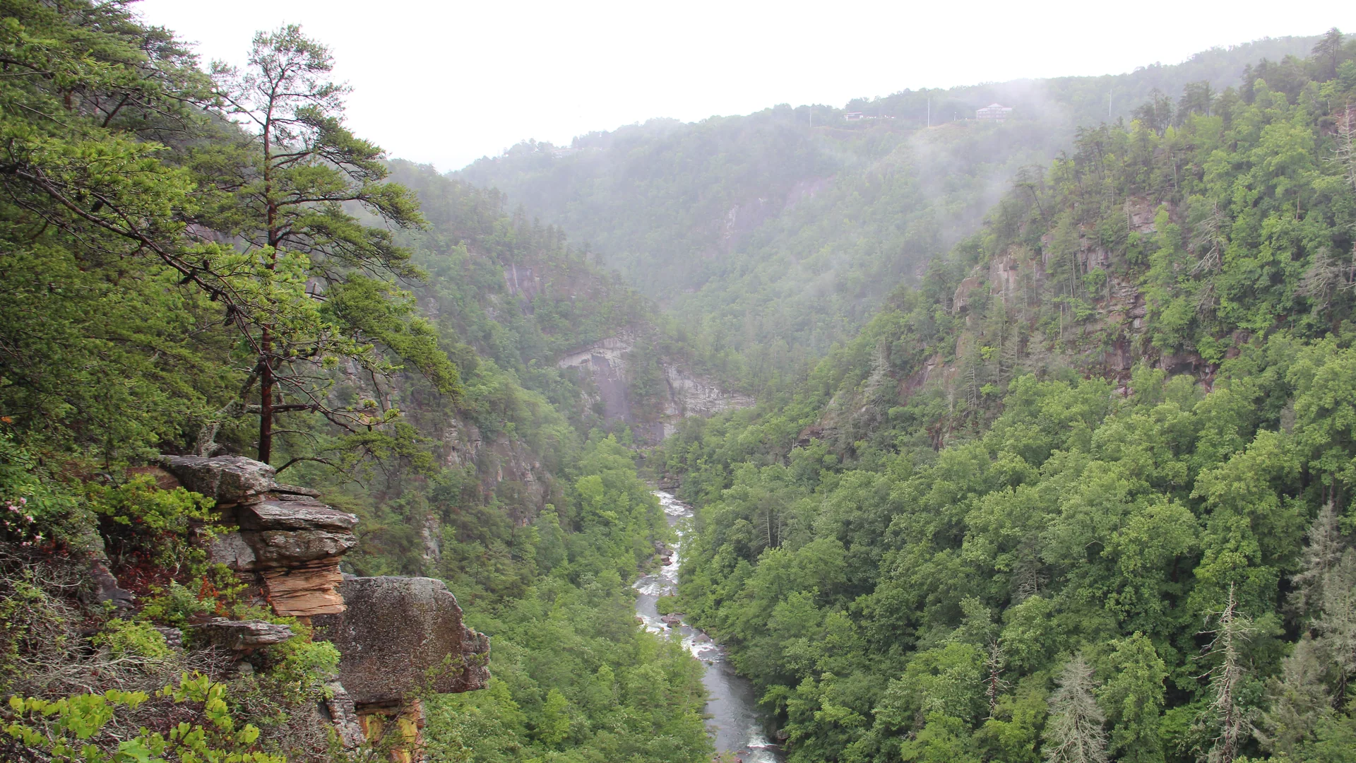 Blick vom Aussichtspunkt in die tief bewaldete Tallulah Gorge