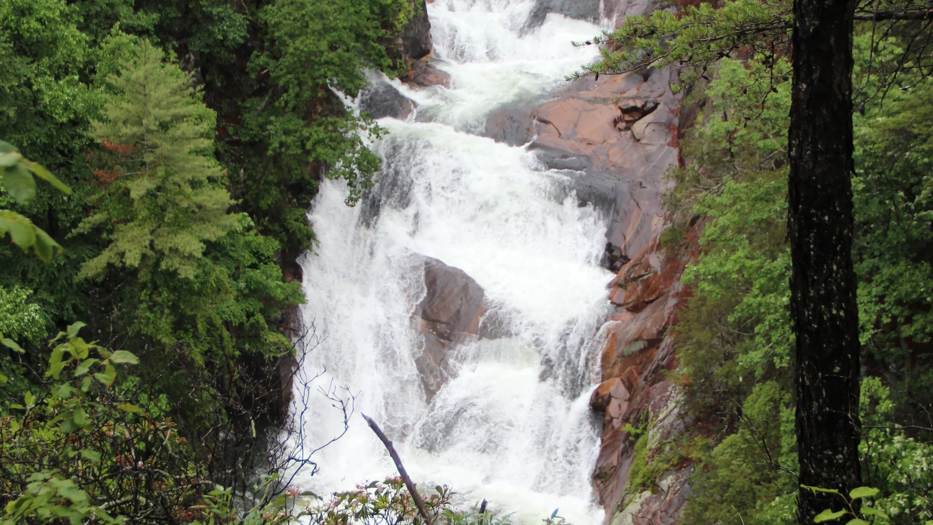 Wasserfall zwischen Felswänden und Wald in der Tallulah Gorge