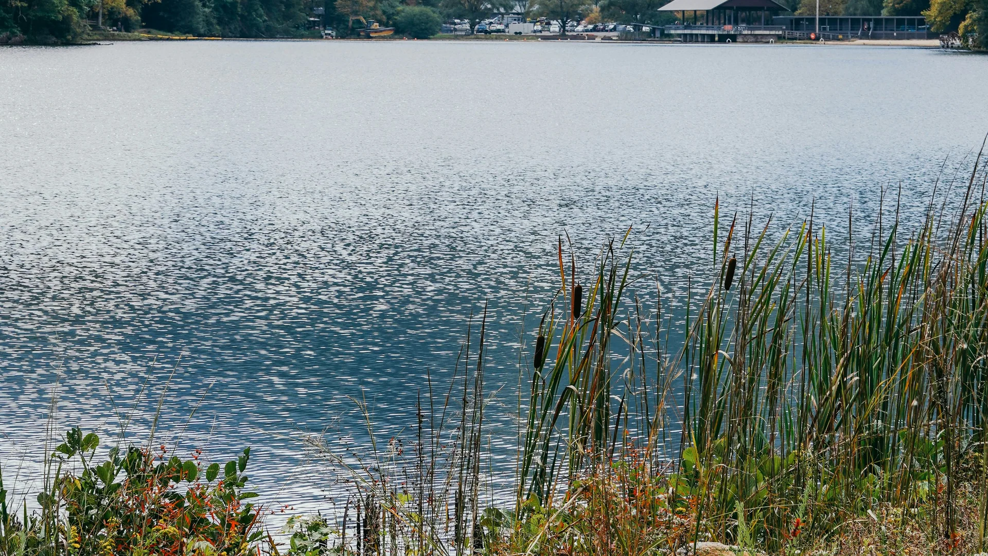 Trahlyta Lake liegt vor den bewaldeten Bergen im Vogel State Park