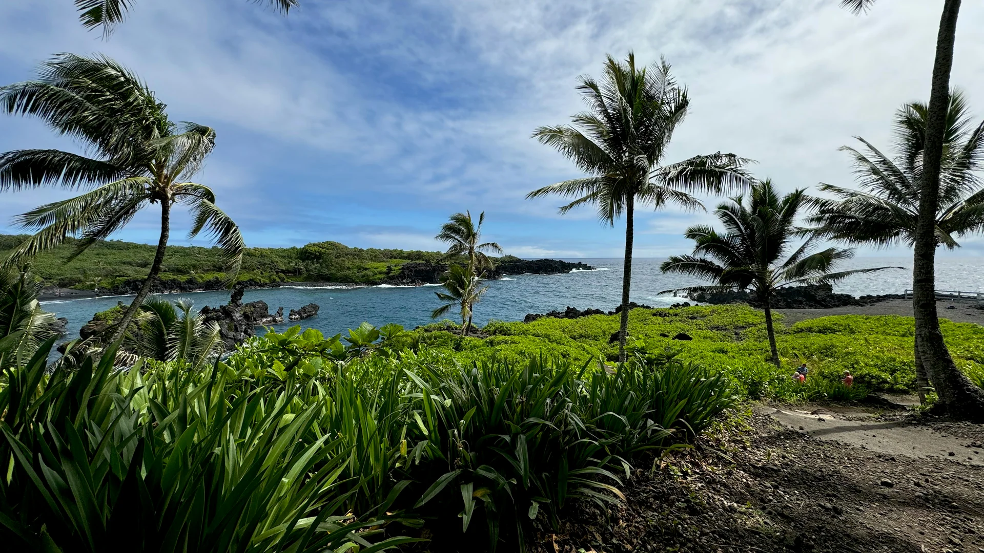 Ein Küstenweg führt zwischen Palmen und Lavafelsen zum Meer im Waiʻānapanapa State Park