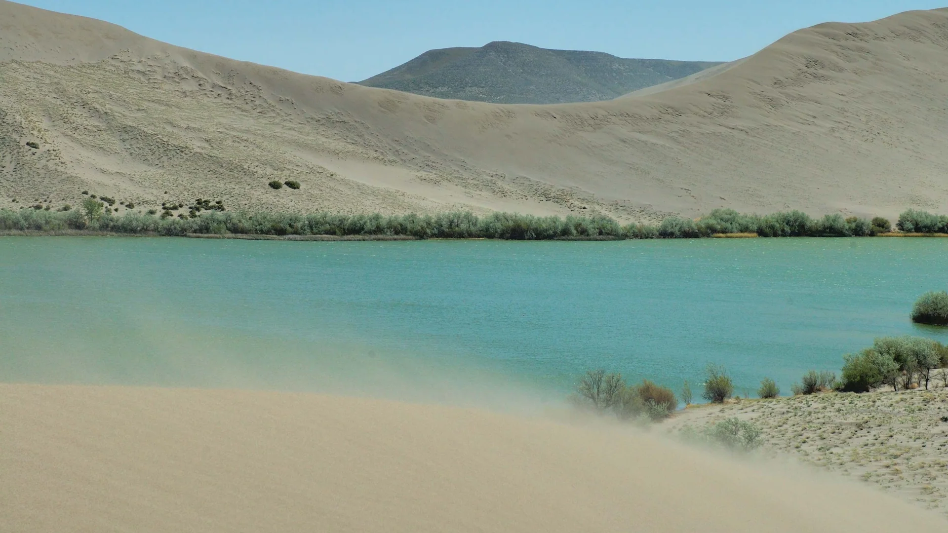 Helle Sanddünen erheben sich über einem kleinen See im Bruneau Dunes State Park