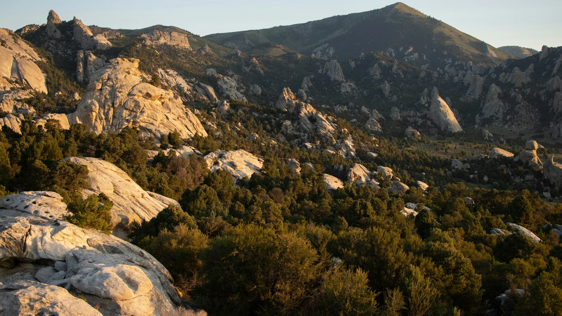 Granitfelsen und bewaldete Berghänge im City of Rocks National Reserve