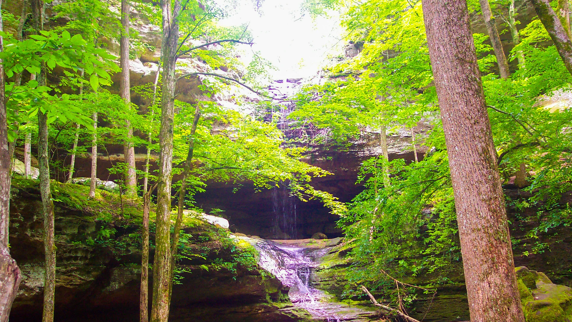 Saisonaler Wasserfall zwischen grünen Felsen am Big Rocky Hollow Trail im Ferne Clyffe State Park