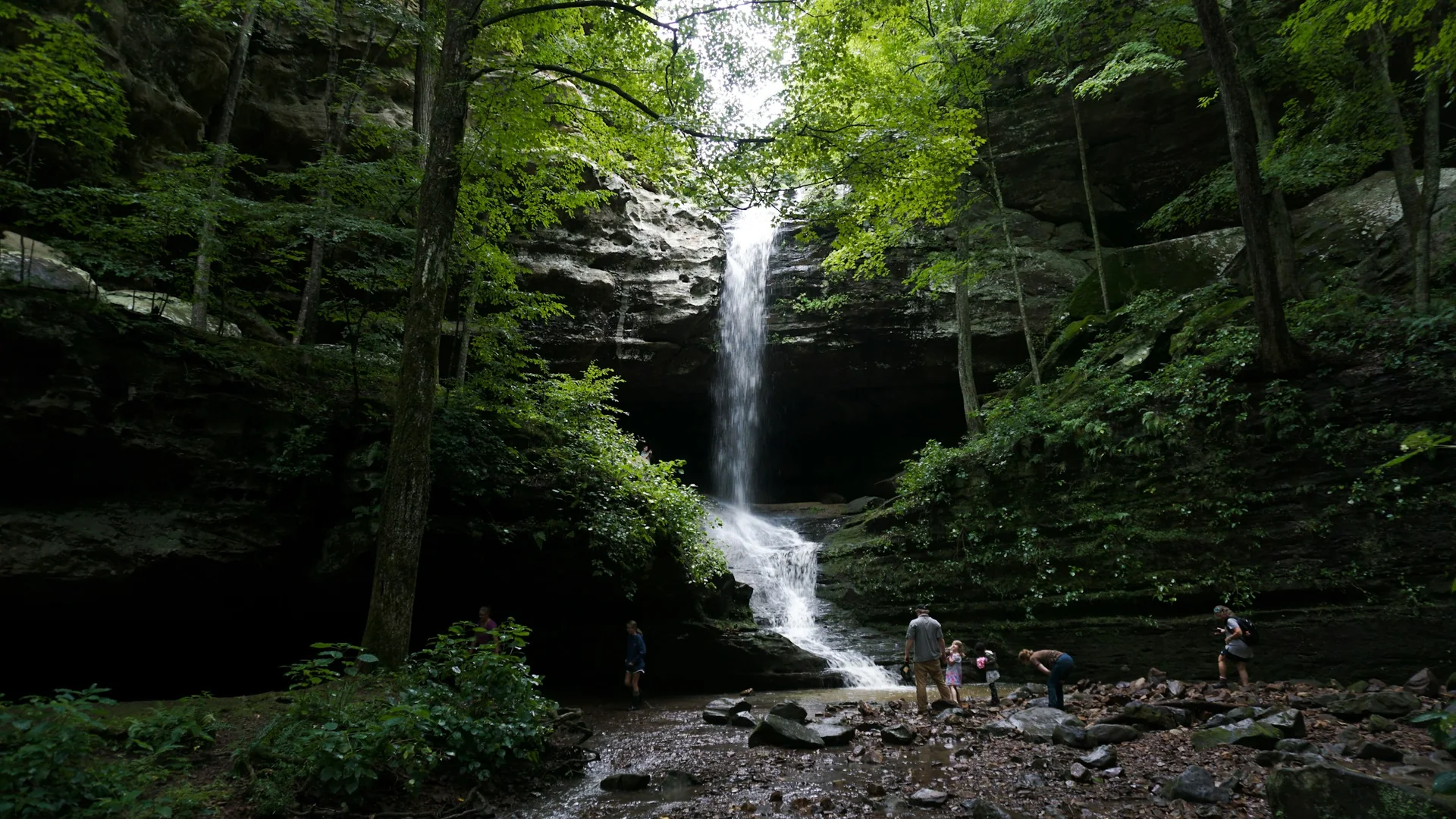 Hoher Wasserfall fällt zwischen bewaldeten Felswänden im Ferne Clyffe State Park