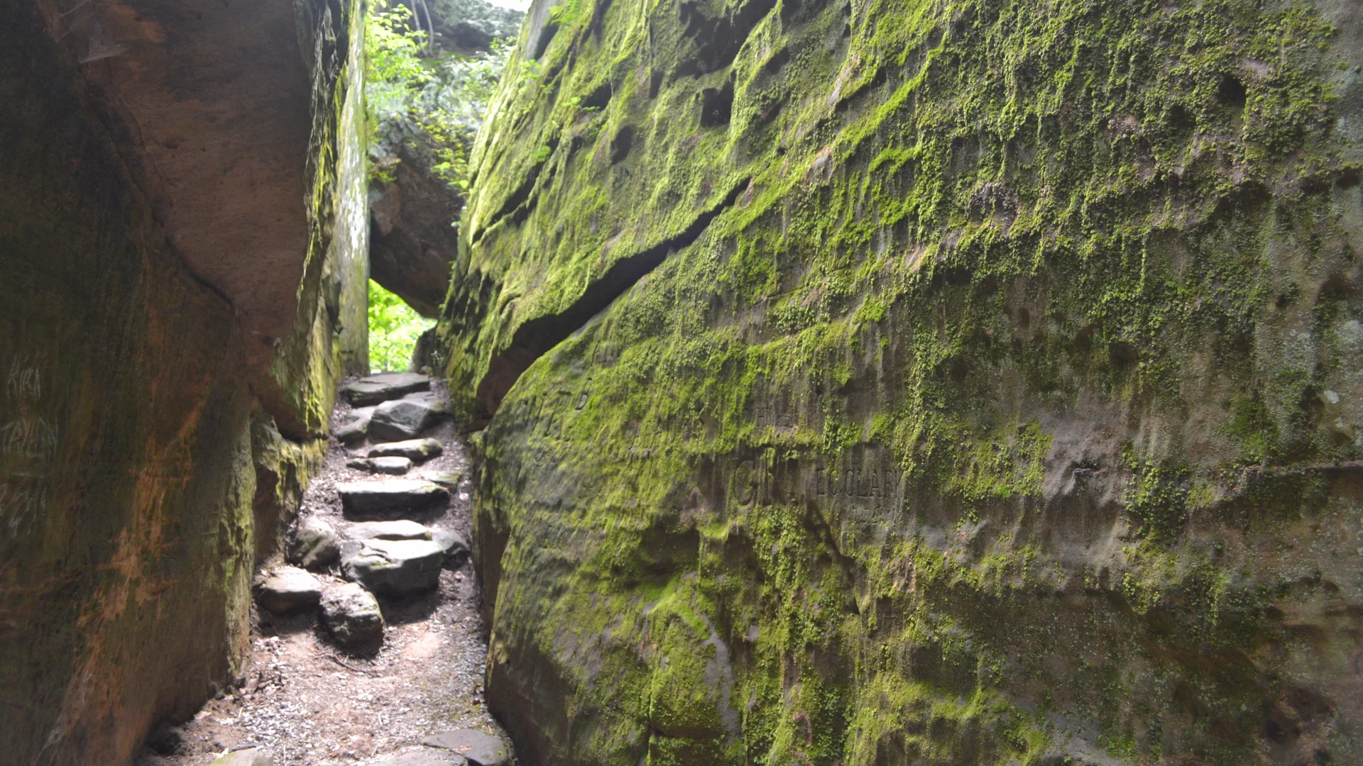 Schmaler Wanderweg verläuft zwischen moosbewachsenen Sandsteinwänden im Giant City State Park