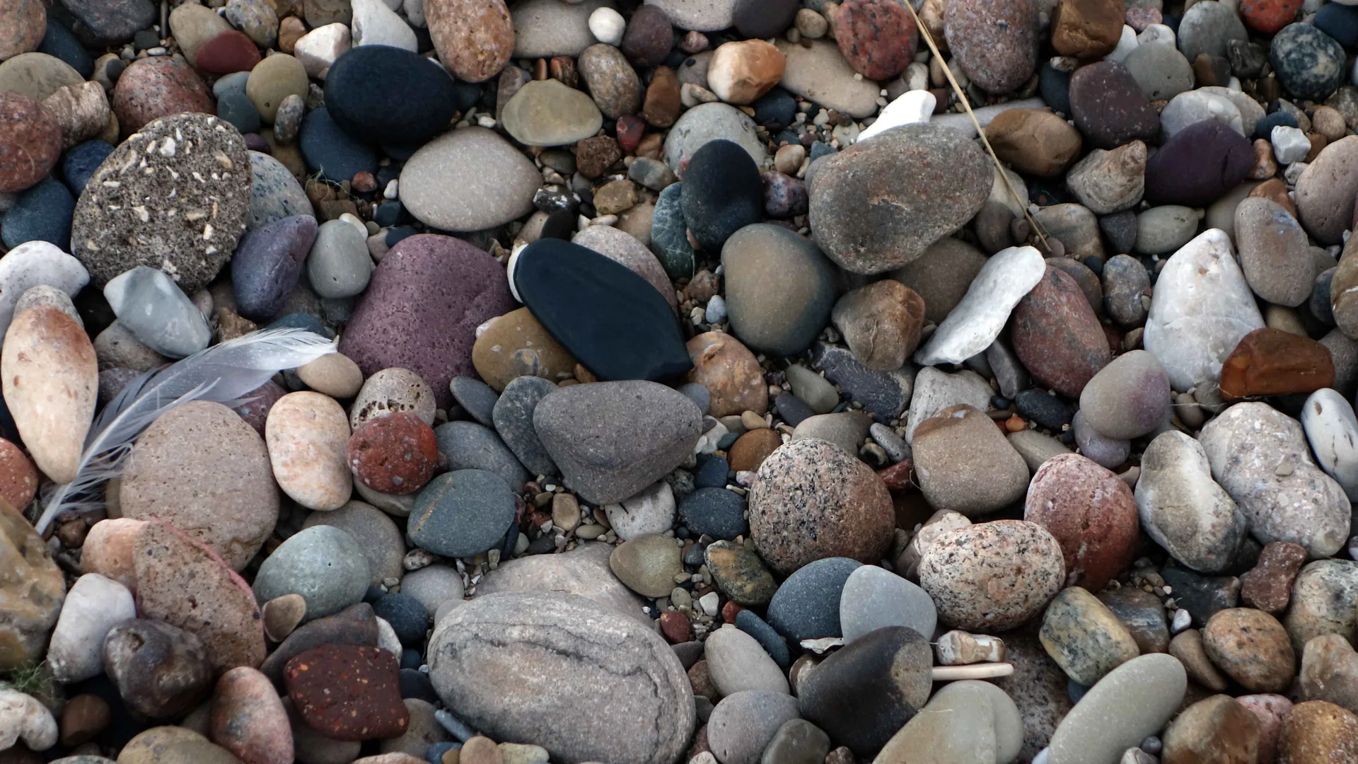 Bunte, vom Wasser gerundete Kiesel am Ufer des Illinois Beach State Park