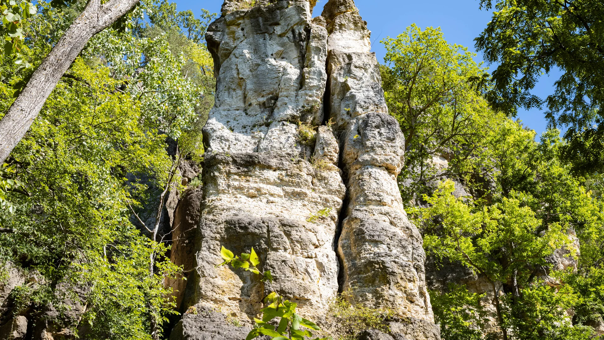 Helle Felstürme ragen zwischen grünen Laubbäumen im Mississippi Palisades State Park auf