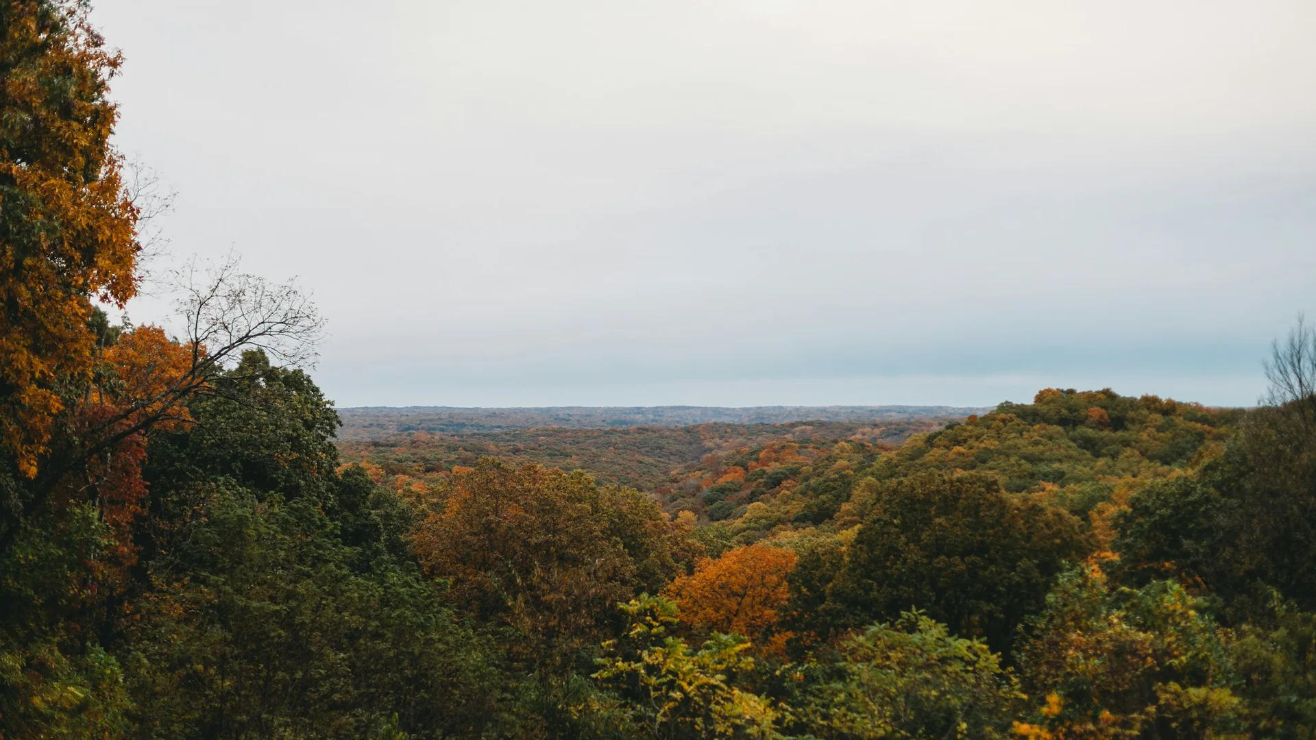 Weiter Blick vom Brown County State Park über bewaldete Hügel im Herbst