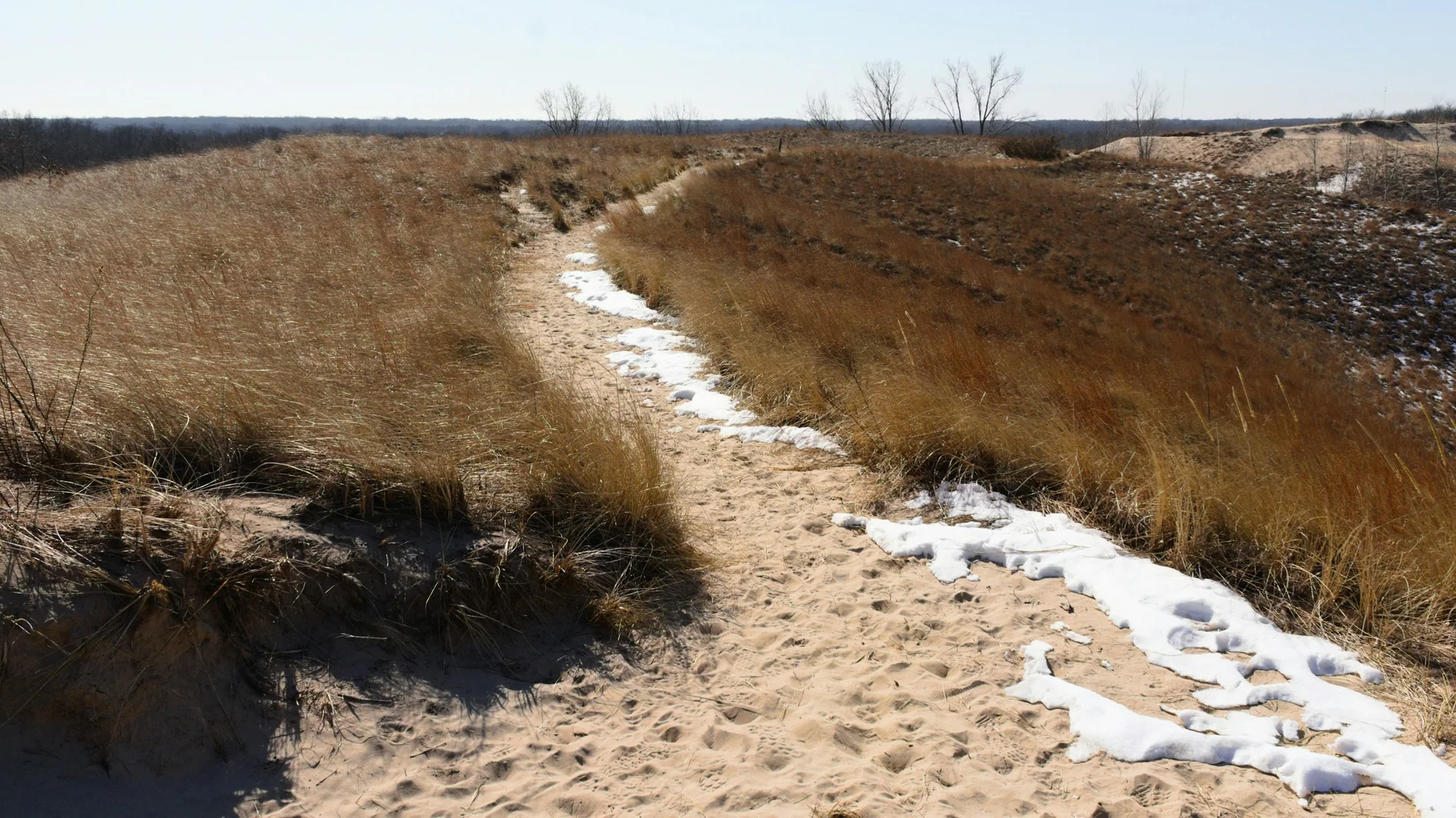 Sandiger Weg führt durch winterliches Dünengras im Indiana Dunes State Park