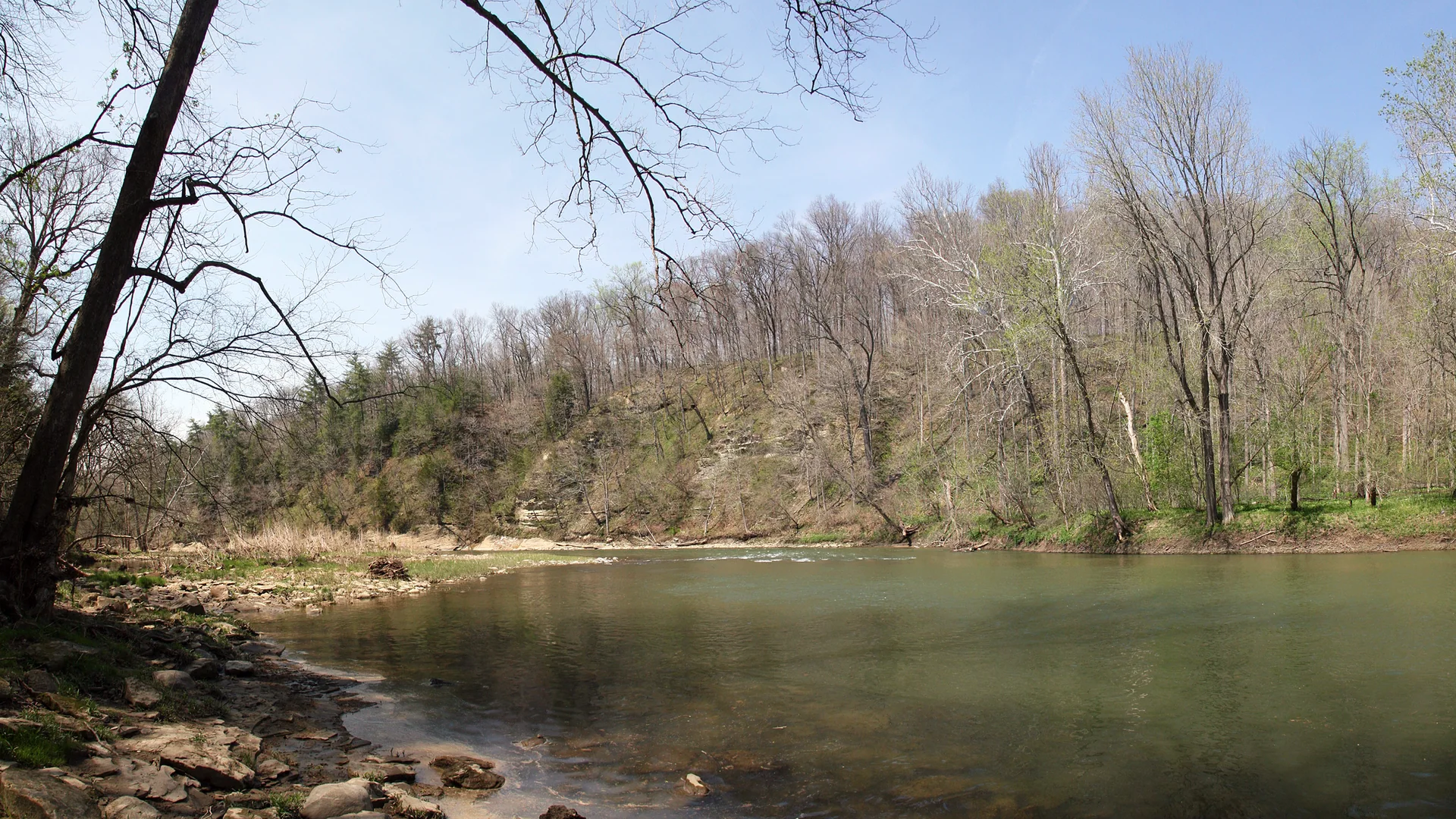 Sugar Creek fließt ruhig durch den bewaldeten Shades State Park