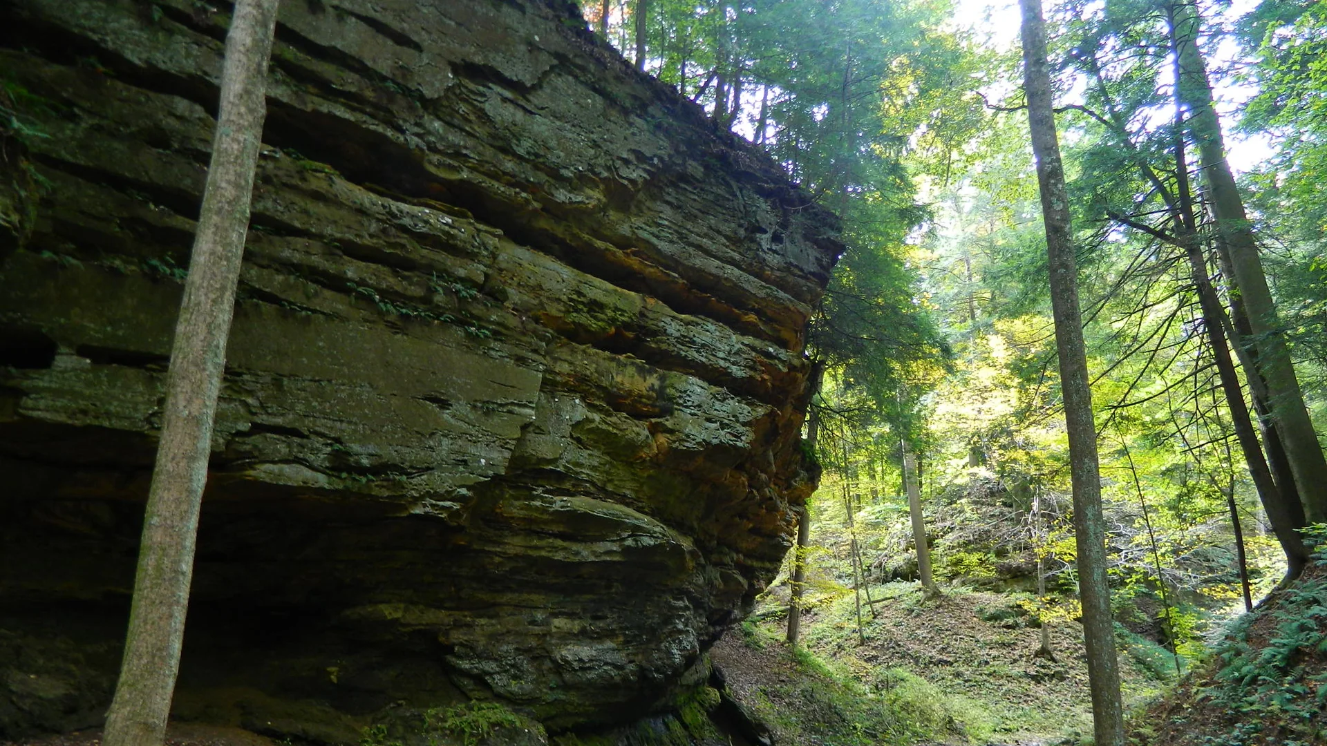 Waldweg verläuft an geschichteten Felswänden im Shades State Park