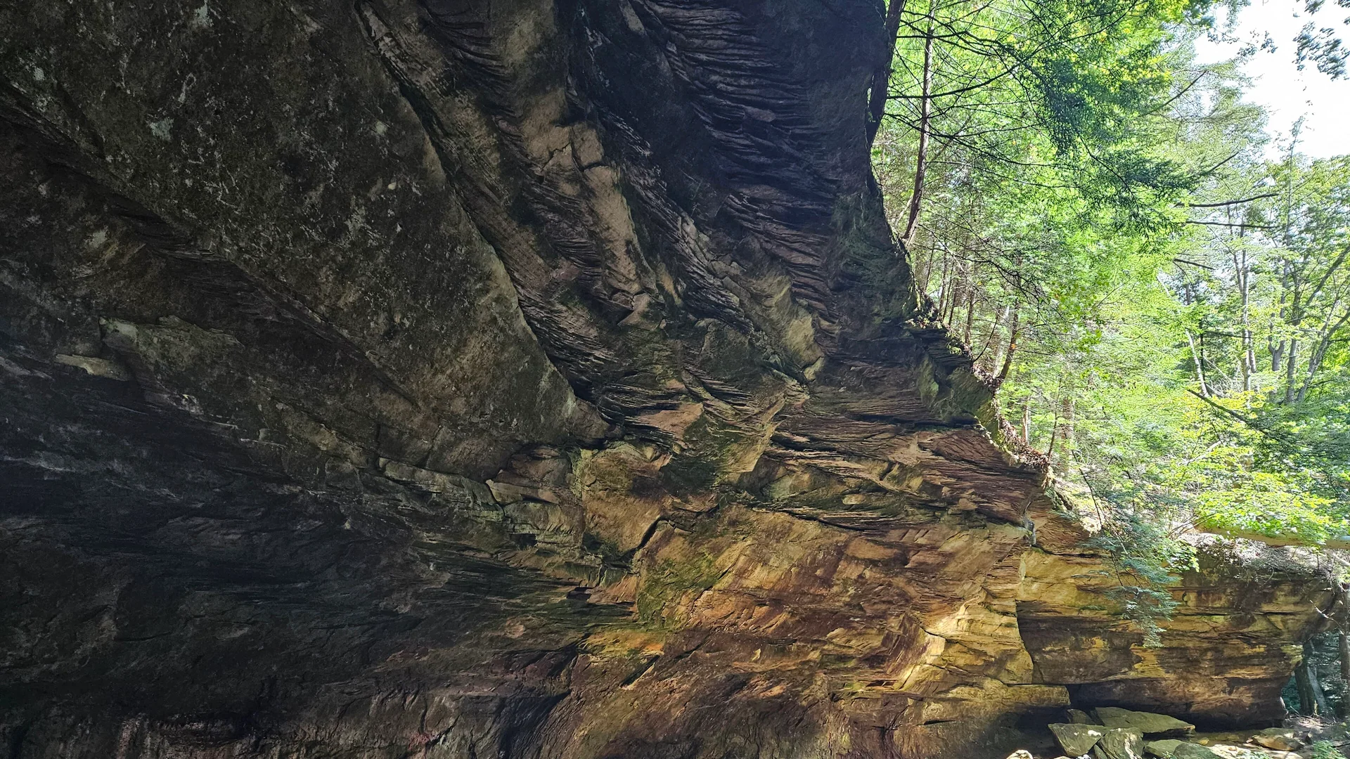 Enge Sandsteinschlucht und grüner Wald im Turkey Run State Park