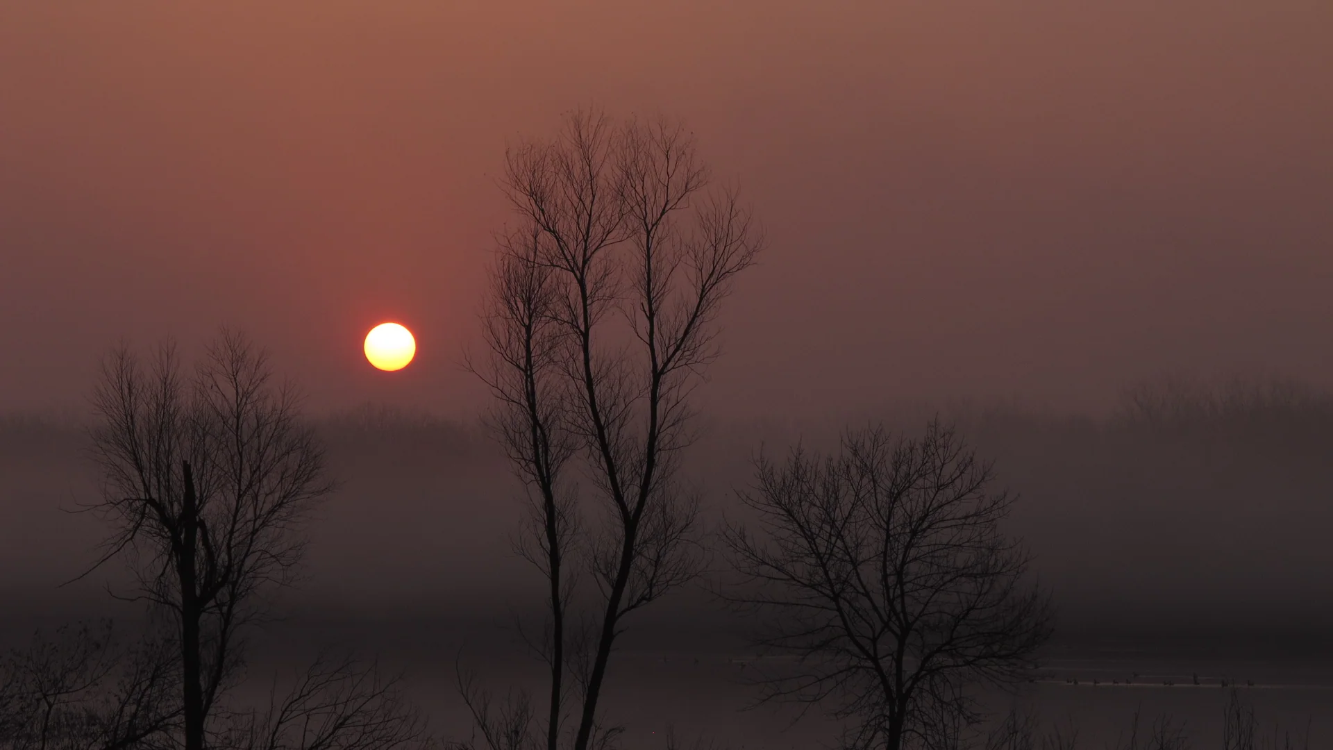 Sonne steigt über den Feuchtgebieten des DeSoto National Wildlife Refuge auf
