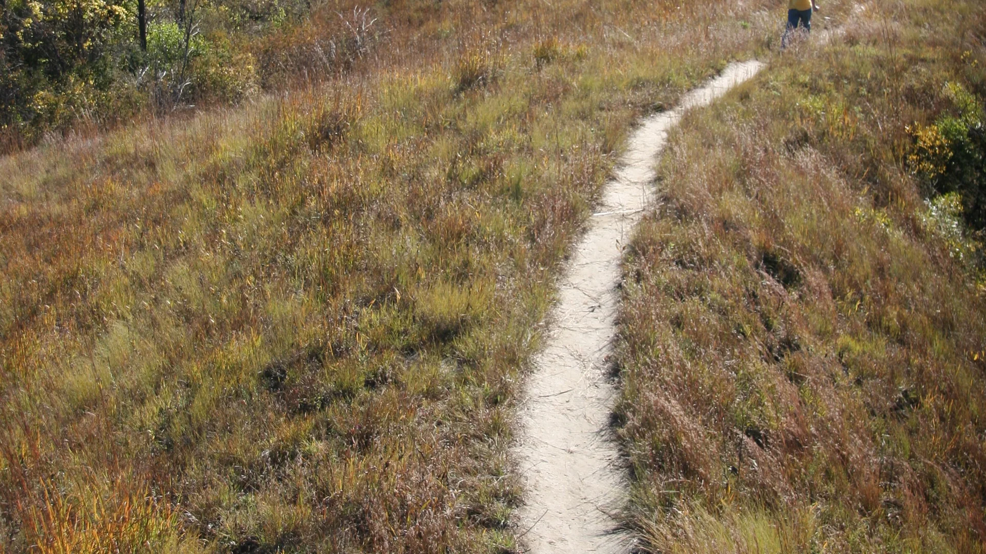 Schmaler Wanderweg folgt einem offenen Lössrücken im Loess Hills State Forest