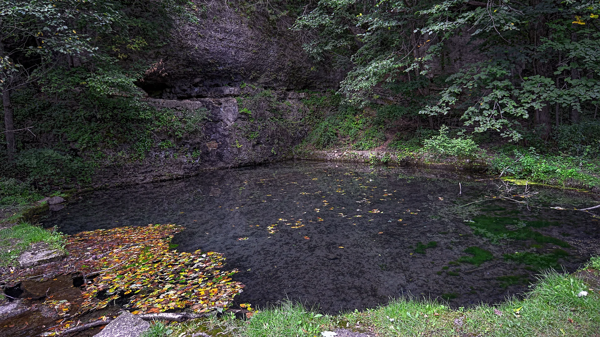 Quellbecken liegt zwischen bewaldeten Felsen im Backbone State Park