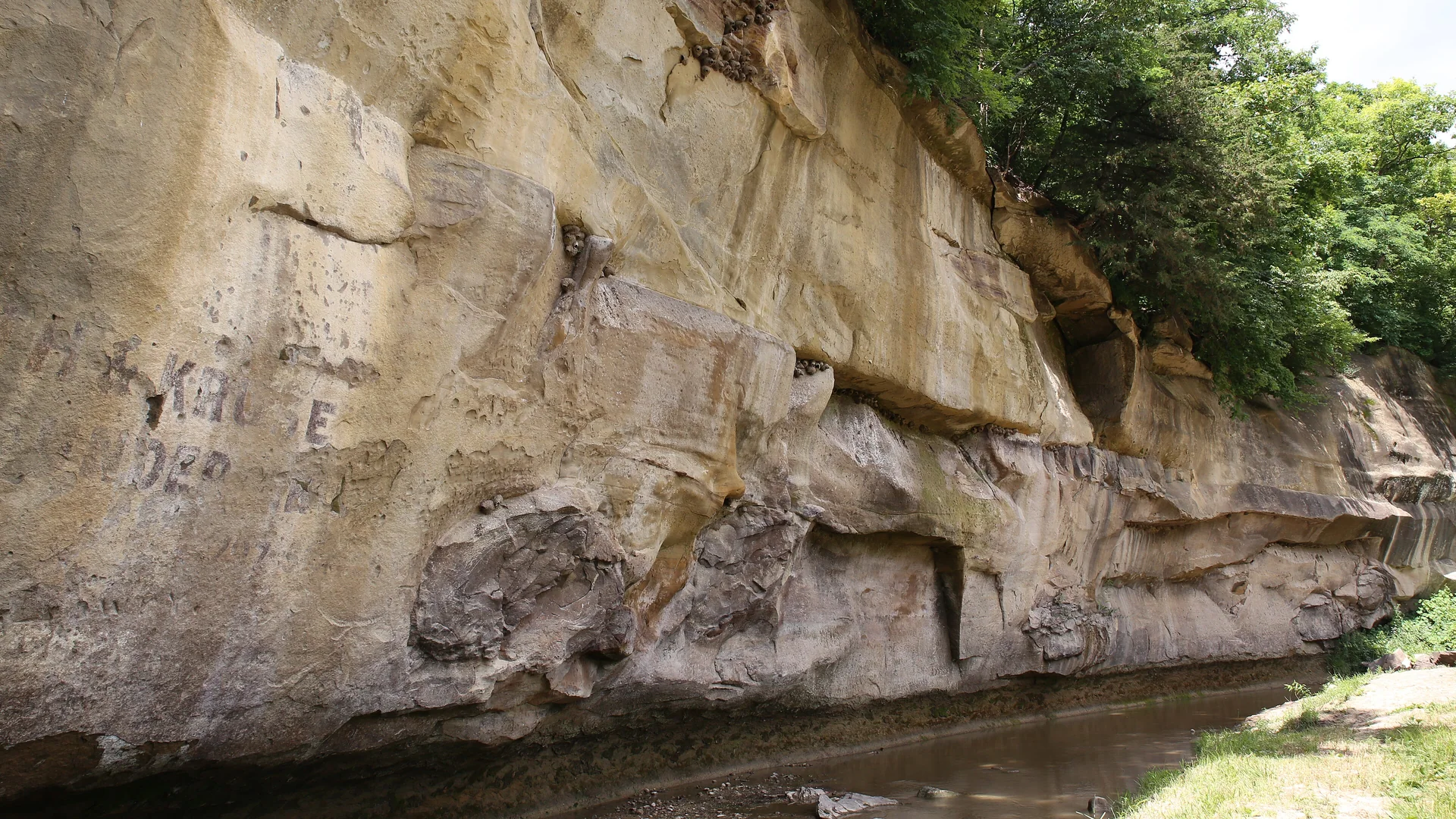 Hohe geschichtete Sandsteinwand begleitet den Bach im Ledges State Park