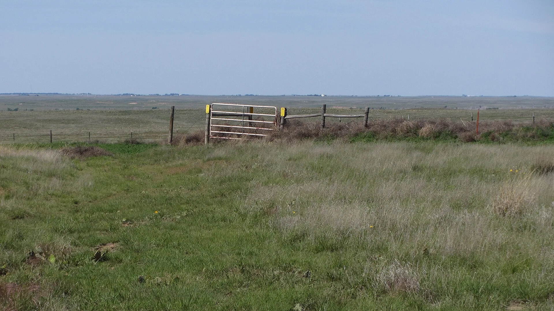 Alte Fahrspuren und Weideland prägen das Cimarron National Grassland