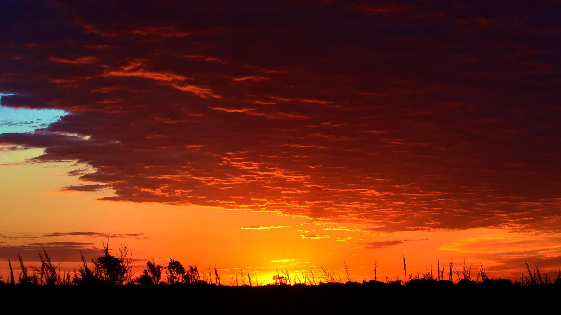 Roter Sonnenaufgang über der Salzmarsch im Quivira National Wildlife Refuge