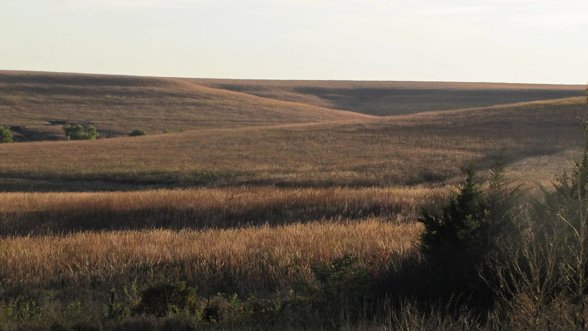Abendlicht liegt über den weiten Flint Hills im Tallgrass Prairie National Preserve