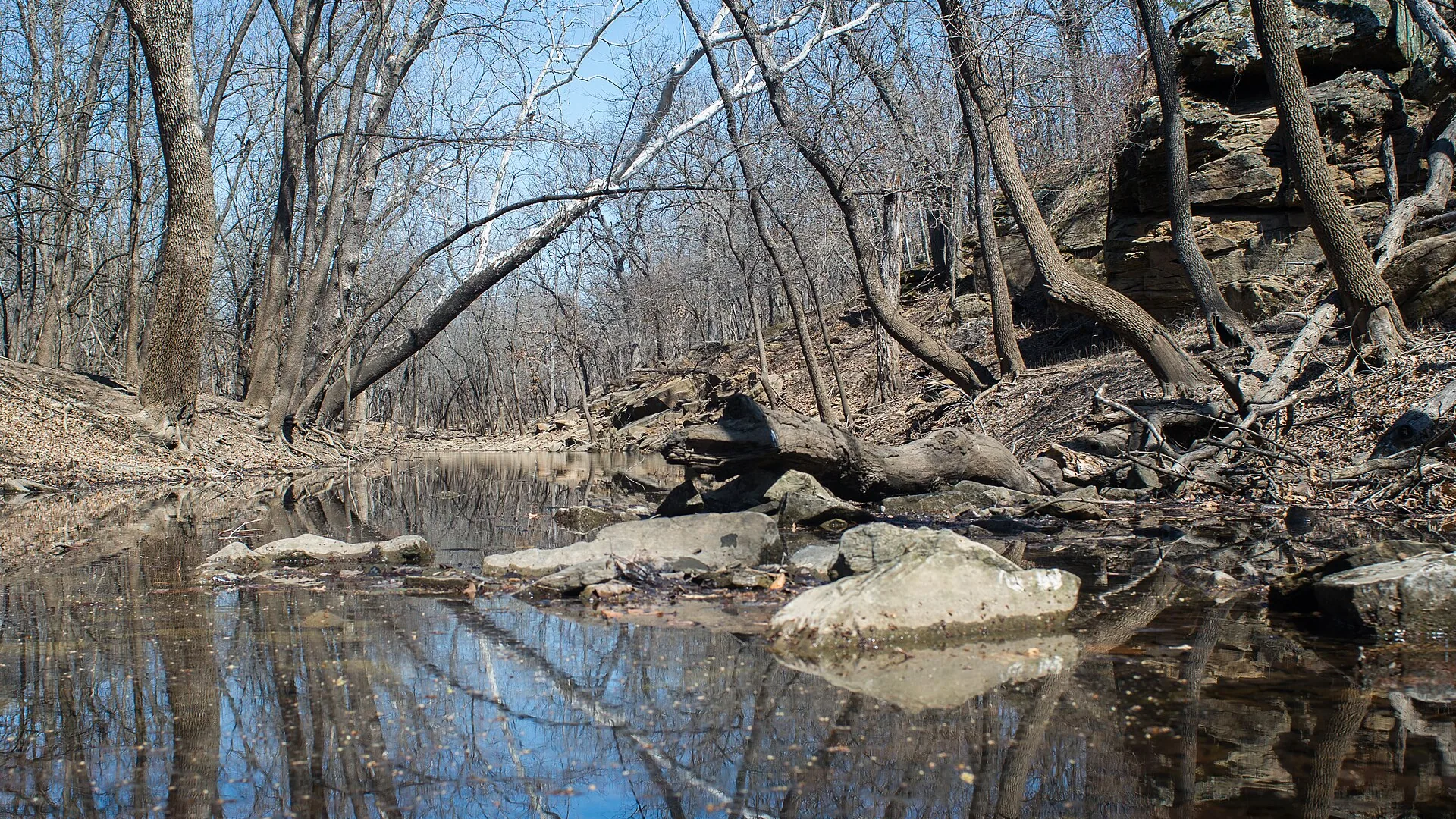 Felsiger Bachlauf zwischen alten Bäumen im Cross Timbers State Park